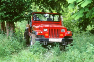 jeep-wrangler-1024×675.jpg