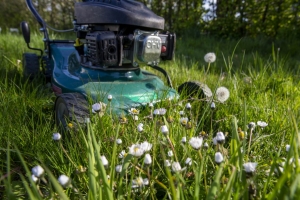 3 Common Mistakes That Will Damage Your Lawn Mower