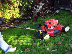 The Best Lawn Mowers for Mulching Leaves Will Save You Time and Improve Your Lawn