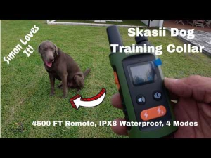 Training Collar for Dogs with Remote Control ... Simon loves it! hqdefault.jpg